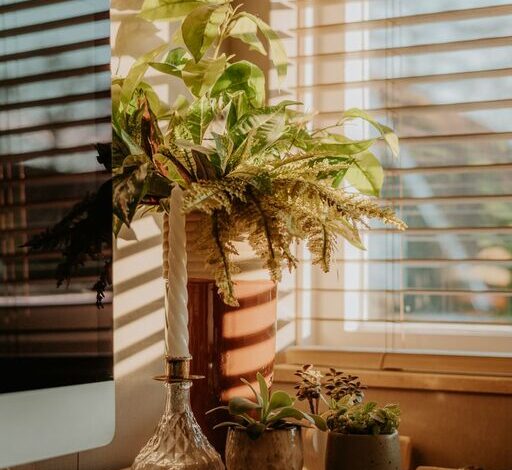 Tips for Creating a Cozy and Functional Home Office Space